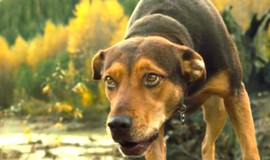 A Dog's Way Home: Official Clip - Hunted by Coyotes