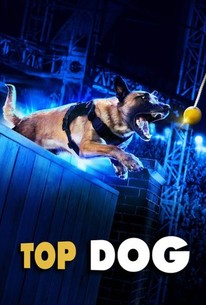 Top dog Rotten Tomatoes