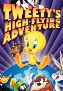 Tweety's High-Flying Adventure poster image