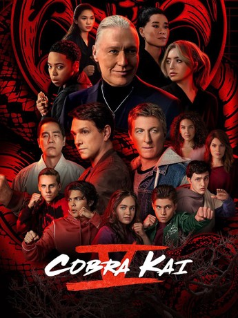 Cobra kai season 2 watch online deals