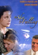 The Sky Is Falling poster image