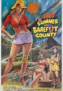 Hot Summer in Barefoot County poster image