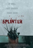 Splinter poster image
