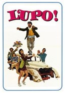 Lupo poster image