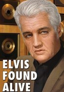 Elvis Found Alive poster image