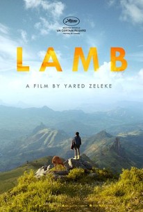 Lamb poster