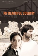 My Beautiful Country poster image