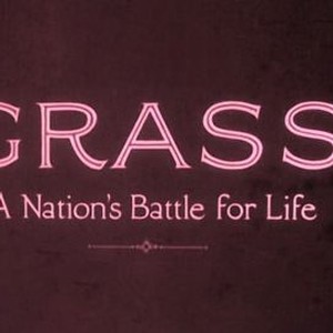 Grass: A Nation's Battle for Life photo 8