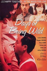 欲望の翼 / Days of Being Wild