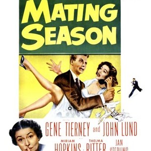 The Mating Season photo 3