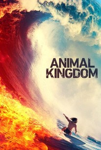 Animal Kingdom: Season 4 poster image