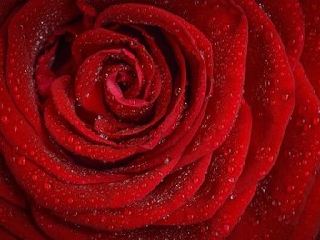 The bachelor season 12 episode 1 sales