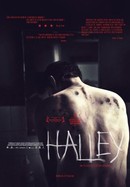 Halley poster image