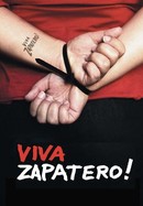 Viva Zapatero! poster image