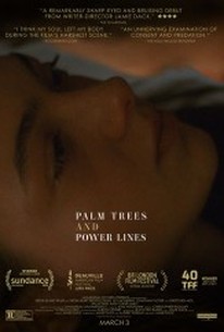 Palm Trees and Power Lines poster image