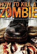 How to Kill a Zombie poster image