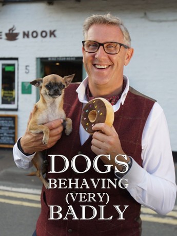 Apply for dogs behaving hot sale badly