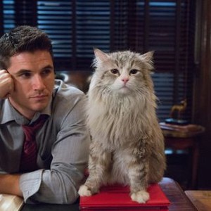 NINE LIVES, ROBBIE AMELL, AND MR. FUZZYPANTS (VOICE: KEVIN SPACEY), 2016. PH: TAKASHI SEIDA/© EUROPACORP USA