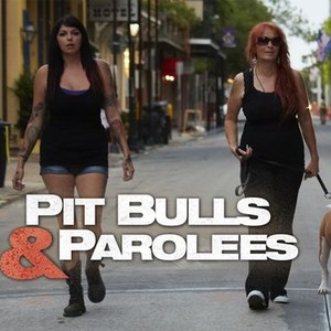 Pit Bulls and Parolees: Season 4, Episode 5 - Rotten Tomatoes