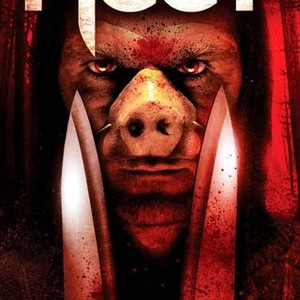 Piggy photo 10
