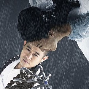 The Sorcerer and the White Snake (2011)