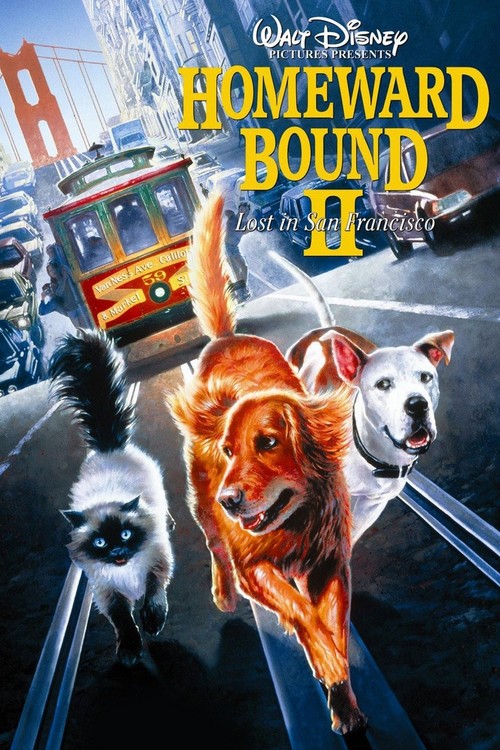 Homeward Bound II: Lost in San Francisco poster
