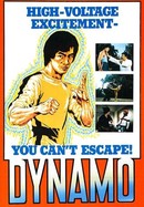 Dynamo poster image