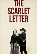 The Scarlet Letter poster image