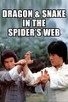 Poster for