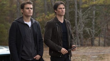 Watch vampire diaries season 8 online free cheap