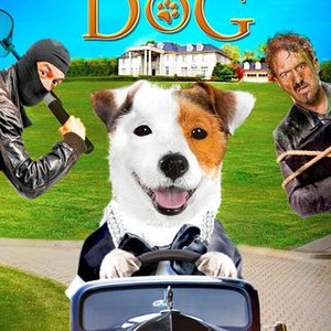 Millionaire Dog (2014) photo 14