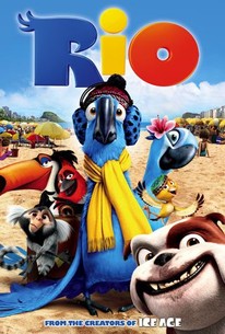 Rio Movie Quotes Rotten Tomatoes
