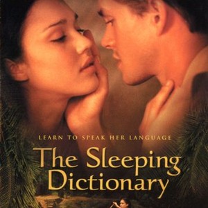 The Sleeping Dictionary photo 12