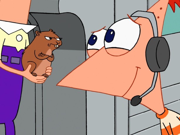 Phineas and ferb best sale full episodes download