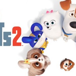 Pets outlet life 2