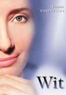 Wit poster image