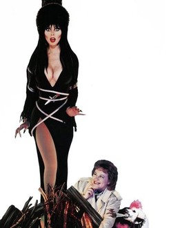 Elvira, Mistress of the Dark | Rotten Tomatoes