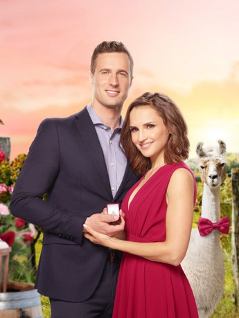 Valentine in the vineyard movie online outlet
