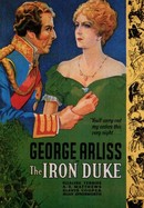 The Iron Duke poster image