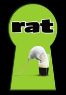 Rat poster image