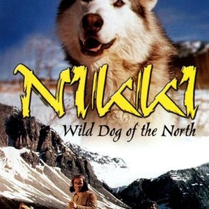 Nikki, Wild Dog of the North - Rotten Tomatoes