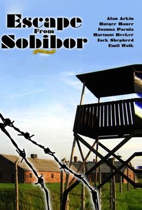 Watch trailer for Escape From Sobibor