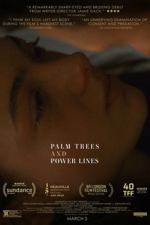 Palm Trees and Power Lines poster