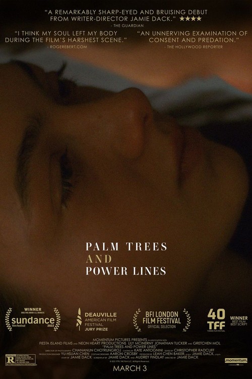 Palm Trees and Power Lines poster