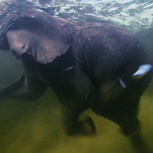 Earth photo 15