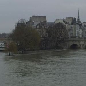 After Fall, Winter - Rotten Tomatoes