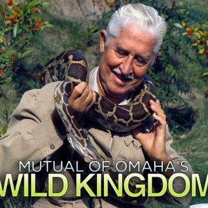 Mutual of Omaha's Wild Kingdom - Rotten Tomatoes