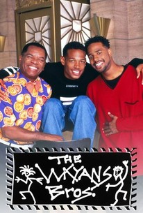 The Wayans Bros.: Season 5 poster image