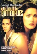 In the Time of the Butterflies poster image