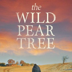 The Wild Pear Tree (2018) photo 20